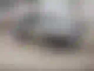 Vehicle Image- 2006 Toyota Highlander