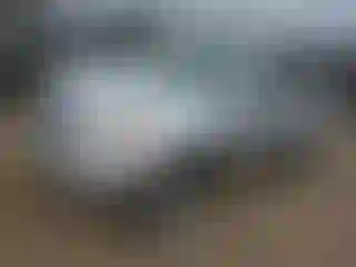 Vehicle Image- 2005 Toyota RAV4