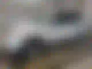 Vehicle Image- 2005 Toyota RAV4