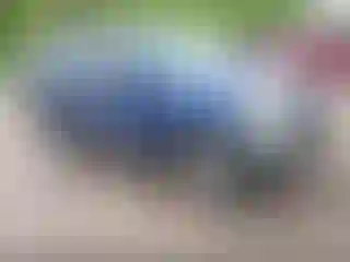 Vehicle Image- 2005 Toyota RAV4