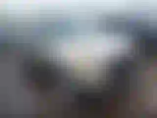 Vehicle Image- 2005 Toyota RAV4
