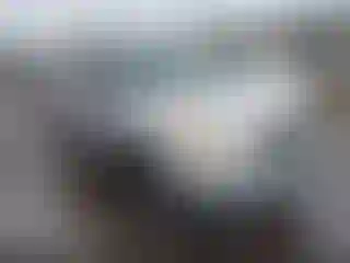 Vehicle Image- 2004 Toyota RAV4