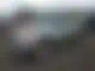 Vehicle Image- 2005 Toyota RAV4
