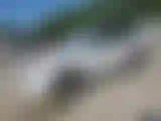 Vehicle Image- 2005 Toyota RAV4