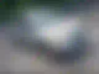 Vehicle Image- 2005 Toyota RAV4