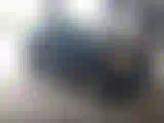 Vehicle Image- 2004 Toyota RAV4
