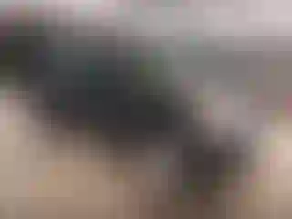 Vehicle Image- 2004 Toyota RAV4
