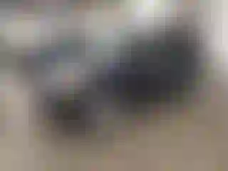 Vehicle Image- 2005 Toyota RAV4