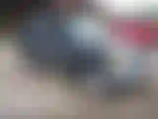Vehicle Image- 2005 Toyota RAV4