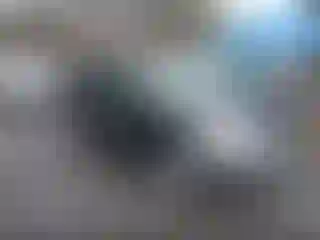 Vehicle Image- 2004 Toyota RAV4