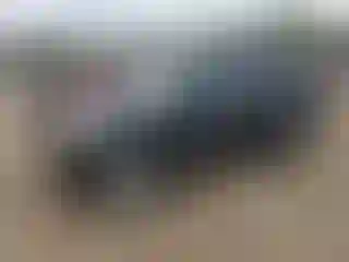Vehicle Image- 2004 Toyota RAV4