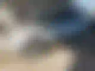 Vehicle Image- 2005 Toyota RAV4