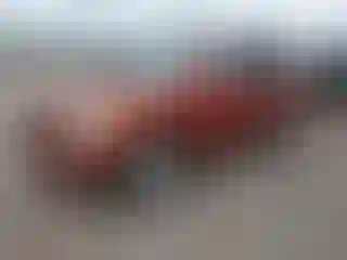 Vehicle Image- 2002 Toyota Highlander