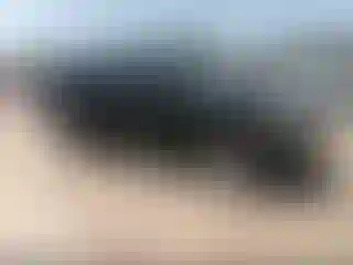 Vehicle Image- 2003 Toyota Highlander