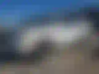 Vehicle Image- 2003 Toyota Highlander