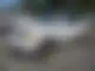 Vehicle Image- 2002 Toyota Highlander