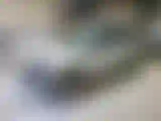 Vehicle Image- 2003 Toyota RAV4