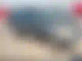 Vehicle Image- 2003 Toyota RAV4