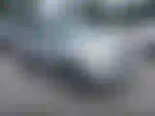 Vehicle Image- 2003 Toyota RAV4