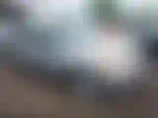 Vehicle Image- 2002 Toyota RAV4