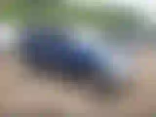 Vehicle Image- 2001 Toyota RAV4