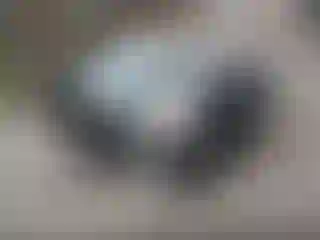 Vehicle Image- 2003 Toyota RAV4