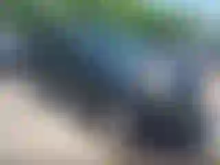 Vehicle Image- 2002 Toyota RAV4