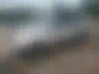 Vehicle Image- 2002 Toyota RAV4