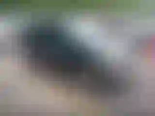 Vehicle Image- 2003 Toyota RAV4