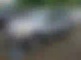 Vehicle Image- 2003 Toyota RAV4