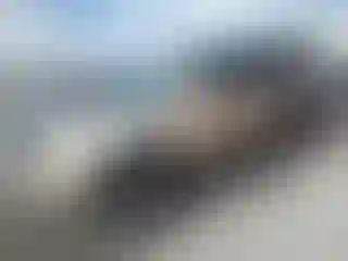 Vehicle Image- 2007 Toyota Highlander