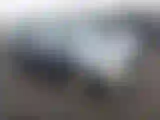 Vehicle Image- 2006 Toyota Highlander