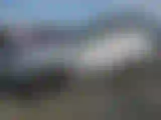 Vehicle Image- 2021 Toyota 4 Runner