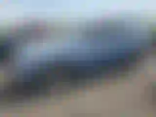 Vehicle Image- 2010 Toyota Highlander