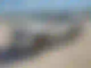 Vehicle Image- 2021 Toyota 4 Runner