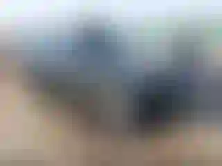 Vehicle Image- 2021 Toyota 4 Runner