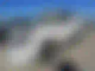 Vehicle Image- 2022 Toyota 4 Runner