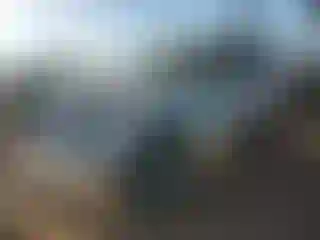 Vehicle Image- 2023 Toyota 4 Runner