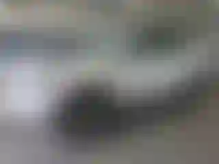 Vehicle Image- 2021 Toyota 4 Runner