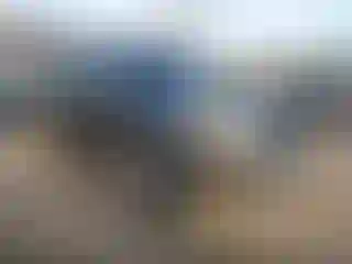 Vehicle Image- 2022 Toyota 4 Runner