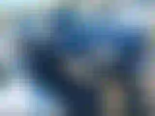 Vehicle Image- 2021 Toyota 4 Runner