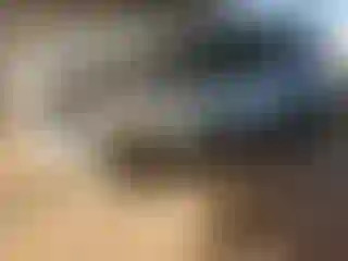 Vehicle Image- 2021 Toyota 4 Runner