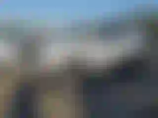 Vehicle Image- 2021 Toyota 4 Runner