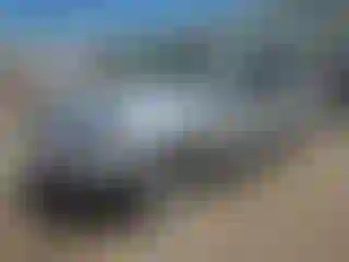 Vehicle Image- 2022 Toyota 4 Runner