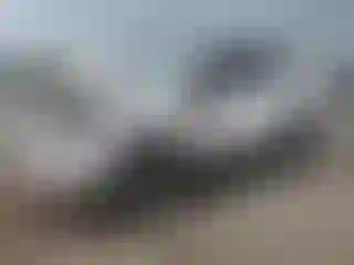Vehicle Image- 2022 Toyota 4 Runner