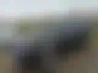 Vehicle Image- 2023 Toyota 4 Runner