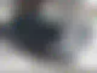 Vehicle Image- 2022 Toyota 4 Runner