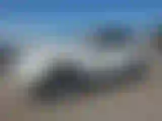 Vehicle Image- 2010 Toyota Highlander
