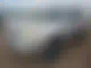 Vehicle Image- 2003 Toyota 4 Runner