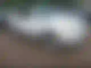 Vehicle Image- 2004 Toyota 4 Runner